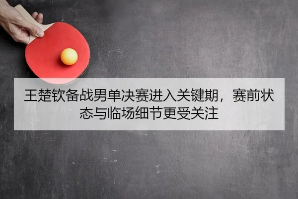 王楚钦备战男单决赛进入关键期，赛前状态与临场细节更受关注